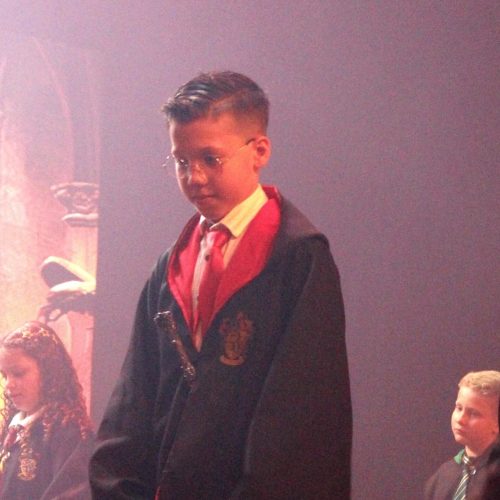 5º e 6º anos apresentam “Harry Potter em Filhos da Luz” na Feira Cultural NS na Broadway 2025