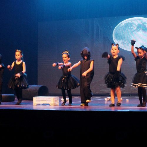 Grupo 5 encanta com o espetáculo “CATS: entre patas, miados, música e perdão” na Feira Cultural NS na Broadway 2025